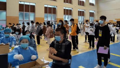 最新辽阳爆料消息视频,视频揭秘事件真相，引发社会关注  第3张